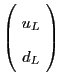 $\left( \! \begin{array}{c} u_L \\ d_L \end{array} \! \right)$