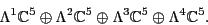 \begin{displaymath}\Lambda ^1 {\mathbb{C}}^5 \oplus \Lambda ^2 {\mathbb{C}}^5 \oplus \Lambda ^3 {\mathbb{C}}^5 \oplus \Lambda ^4 {\mathbb{C}}^5 .\end{displaymath}