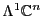 $\Lambda ^1 {\mathbb{C}}^n$
