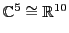 ${\mathbb{C}}^5 \cong {\mathbb{R}}^{10}$