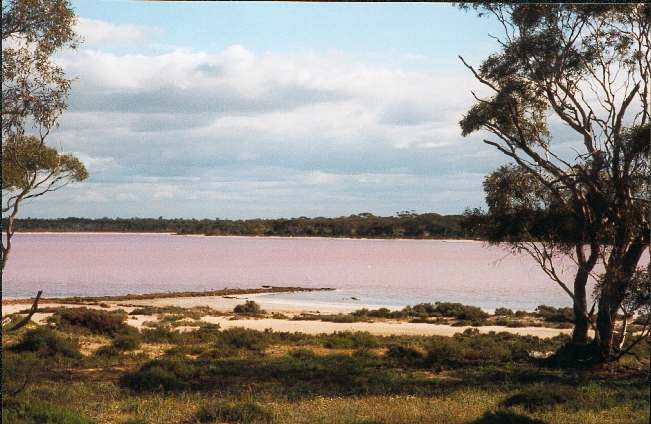 pinklake002.jpg (44345 bytes)